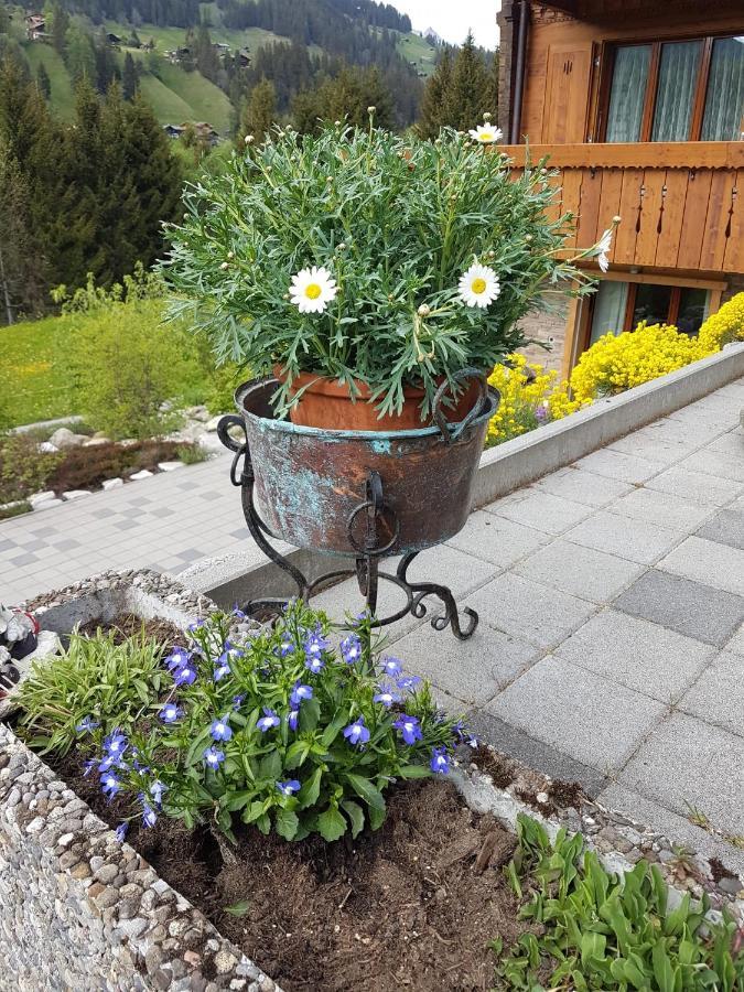 Chalet Grüneggli Adelboden Esterno foto