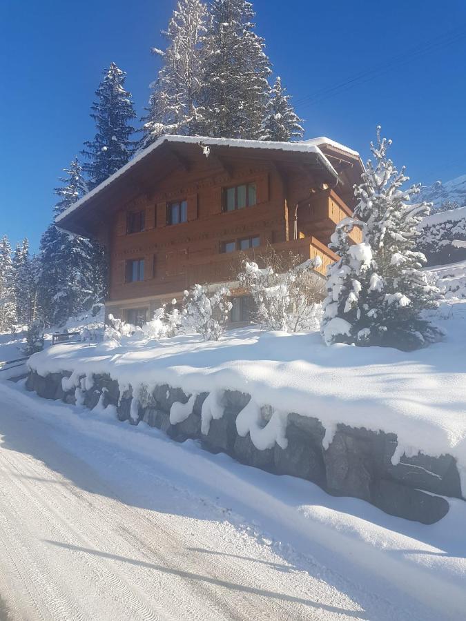 Chalet Grüneggli Adelboden Esterno foto