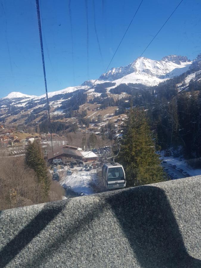 Chalet Grüneggli Adelboden Esterno foto