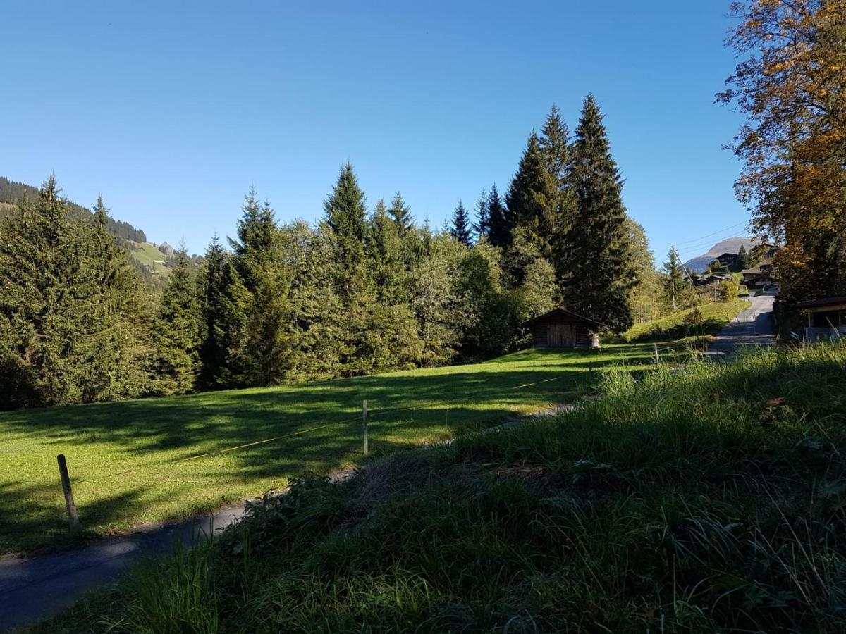 Chalet Grüneggli Adelboden Esterno foto